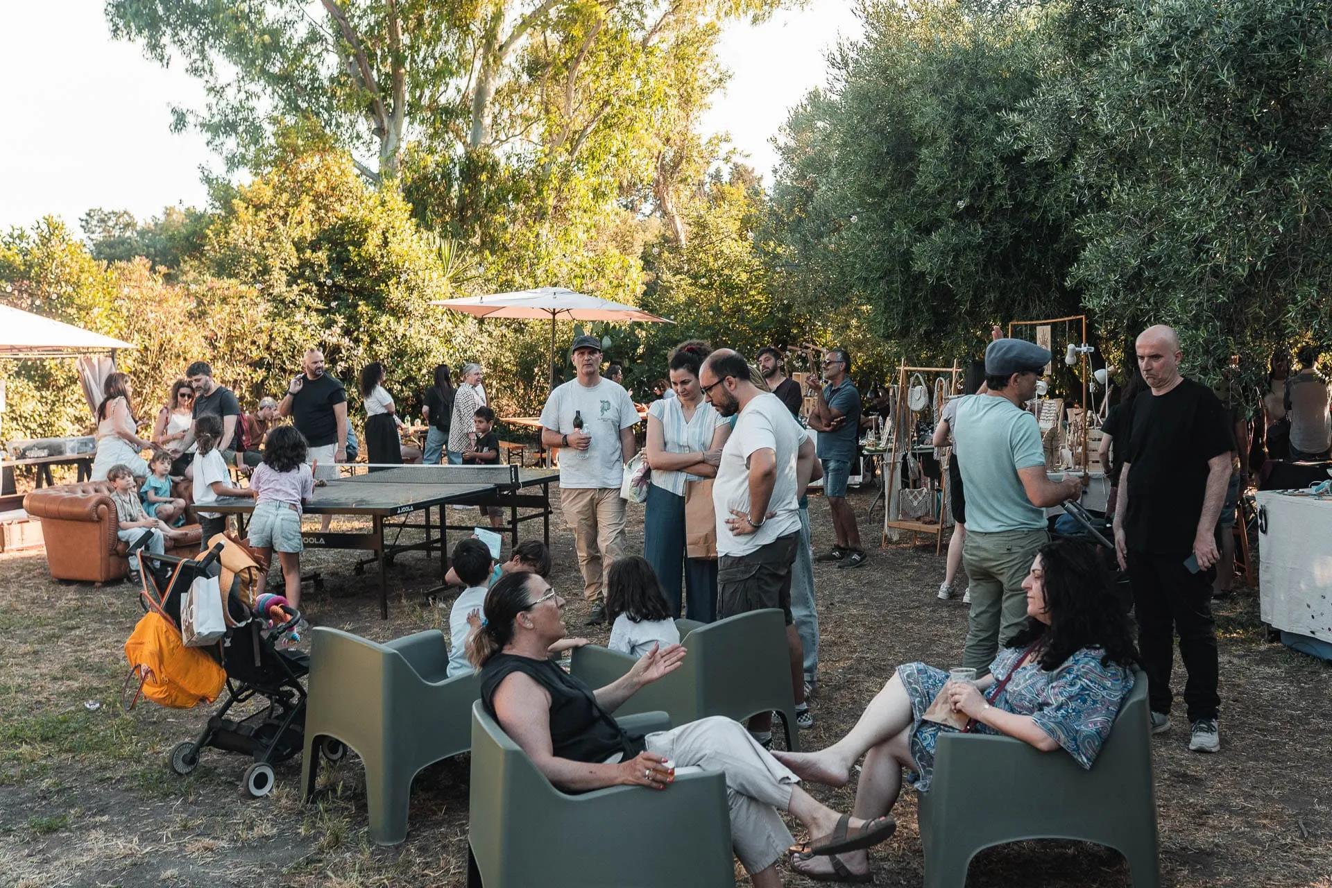 Visitors sitting and standing on the lawn among the olive trees