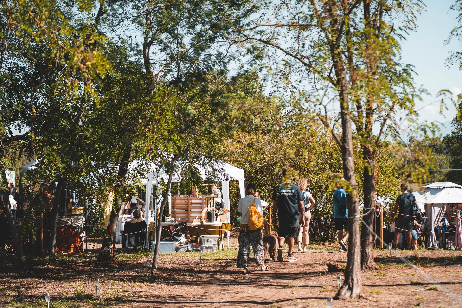 Il mercato visto da lontano, tra gli alberi del parco